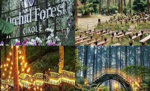 Orchid Forest Cikole